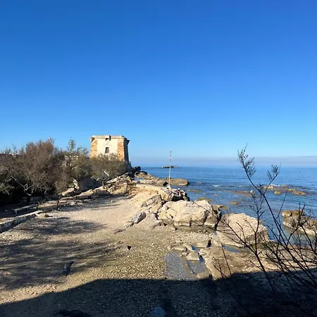 Margal 21 Trapani