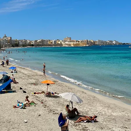 Margal 21 Trapani